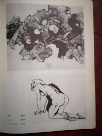 美术插页（单张），韩黎坤《湖石》《人体》，郑重宾《牧场》，刘健速写
