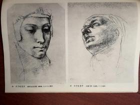 名家素描插页（单张）：米开朗琪罗《青年妇女头像》《最后的审判》