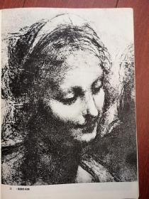 名家素描插页（单张）：达芬奇圣母、圣安娜，人体