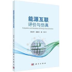 全新正版图书 能源互联评价与邵志芳科学出版社9787030566584