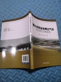 鄂尔多斯盆地靖边气田开发技术与实践