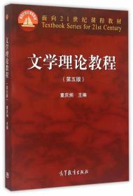 二手文学理论教程第五版童庆炳高等教育出版社9787040425079