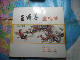 王成喜画梅集