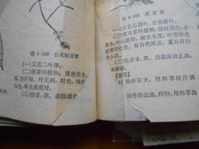 赤脚医生手册（品相不好）破损处有照片