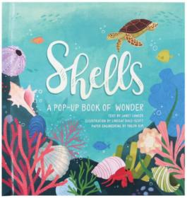 预订 Shells: A Pop-Up Book of Wonder 贝壳，立体书，英文原版