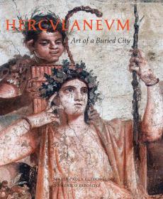 Herculaneum: Art of a Buried City，赫库兰尼姆，英文原版