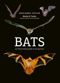 预订 Bats: An illustrated guide to all species 蝙蝠，插图版，英文原版