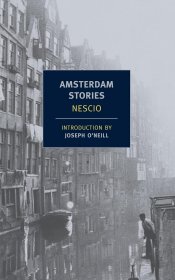 Amsterdam Stories，阿姆斯特丹故事，英文原版