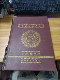 藏药创新治疗标准  精装  书如图