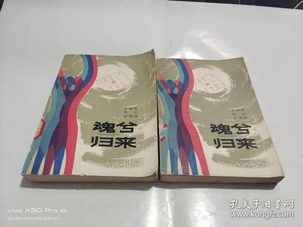 魂兮归来 上下册 ，下册后封面如图 2本合售 整体八品作者：王新纪出版社