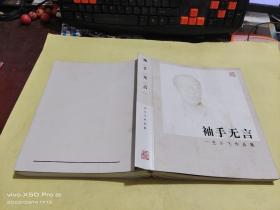 袖手无言  王小飞作品集