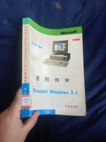 看图例学Microsoft Windows 3.1