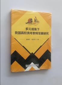 正版现货 多元视角下我国高校青年教师发展研究