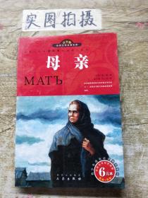 世界文学名著宝库：母亲（名家名译双色插图）（青少版）