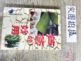 芦荟的妙用