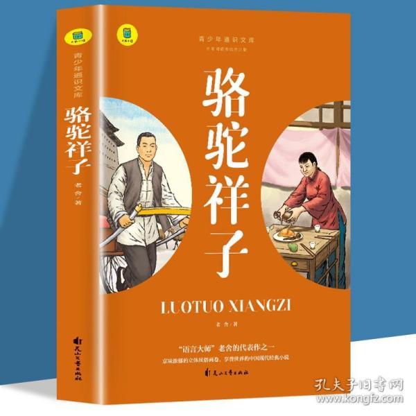 通识文库--骆驼祥子+海底两万里【全2册】中国现代经典小说 名著阅读旁批旁注版 中国经典文学作品 世界名著阅读 青少年通识文库 中学生课外阅读书籍 7-9年级中学生课外阅读绘画书
