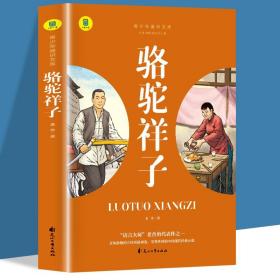通识文库--骆驼祥子+海底两万里【全2册】中国现代经典小说 名著阅读旁批旁注版 中国经典文学作品 世界名著阅读 青少年通识文库 中学生课外阅读书籍 7-9年级中学生课外阅读绘画书