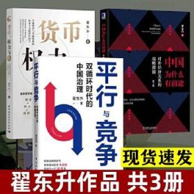 翟东升作品3册 货币 权力与人 平行与竞争双循环时代的中国治理 中国为什么有前途 对外经济关系的战略潜能 中国经济书籍