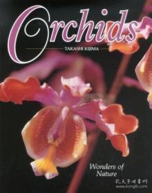 Orchids-兰花