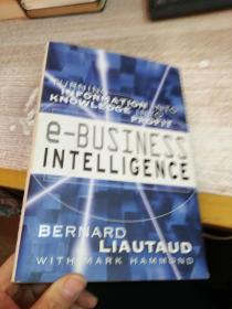 E-business Intelligence: Turning Information Into Knowledge Into Profit