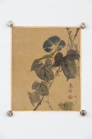 日本回流字画 老字画 南岳 筆《蚂蚱牵牛花》 名家手绘真迹