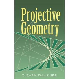 预售 英文预定 Projective Geometry