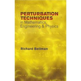 预售 英文预定 Perturbation Techniques in Mathematic