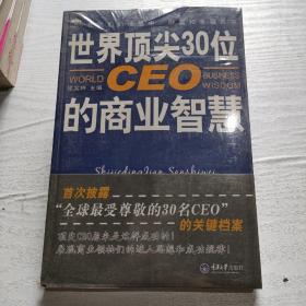 世界顶尖30位CEO的商业智慧(重报图书)