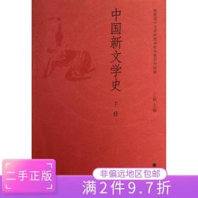 二手中国新文学史 下册 丁帆 高等教育出版社