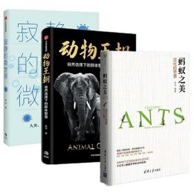 正版 寂静的微世界 动物王朝：自然选择下的群体智慧 蚂蚁之美:进化的奇景 3册套装