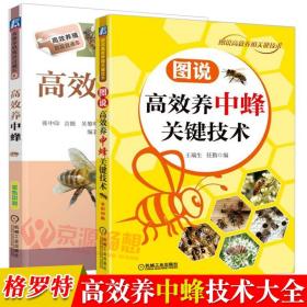 图说高效养中蜂关键技术+高效养中蜂 养蜂技术图解 养蜂书籍大全 高效养蜂技术 养蜂技术书 中蜂养殖技术书籍