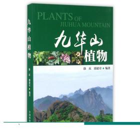 九华山植物   8330
