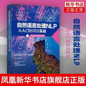 自然语言处理NLP从入门到项目实战：Python语言实现 计算机网络程序设计类书籍 艾浒 北京大学出版社
