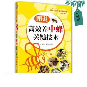 图说高效养中蜂关键技术 养蜂书籍大全技术蜜蜂中蜂养殖书养蜂养蜜蜂技术教程 蜜蜂养殖技术一本通 中华蜂土蜂饲养新技术实用教程