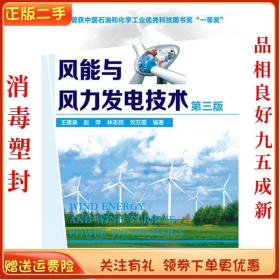 二手正版风能与风力发电技术 (第3版) 王建录 化学工业出版社