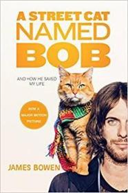 A Street Cat Named Bob 一只名叫鲍勃的流浪猫 英文原版 电影同名小说 当bob来敲门 街头流浪猫鲍勃 全英文版进口图书籍