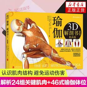 瑜伽3D解剖书1 肌肉篇 艾扬格弟子瑞隆作品初级入门指南初学者运动健身教程 解析24组关键肌肉46式正宗瑜伽体位瑜伽健身球