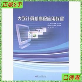 二手大学计算机高级应用教程 李岩峰于锁利 黑龙江大学出版社 978