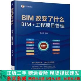 BIM改变了什么BIM 工程项目管理商大勇机械工业出版社大学教材二