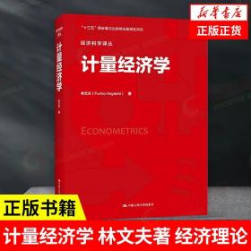 计量经济学  林文夫 著 经济科学译丛 经济理论书籍 正版书籍