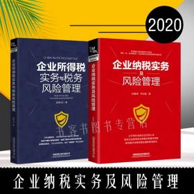 2020新版2册 企业所得税实务与税务风险管理 企业纳税实务及风险管理 企业管理税收筹划投资融资经营决策增值税筹划方案正版书籍