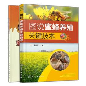 图说蜜蜂养殖关键技术+蜜蜂病虫害诊断与防治技术手册 2册 蜜蜂养殖有这两本就够了书 养蜂技术大全  密峰病虫害的防治措施图书籍