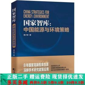 国家智库中国能源与环境策略曾少军中国市场出版社大学教材二手书