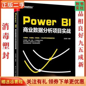 二手正版Power BI商业数据分析项目实战 武俊敏 电子工业出版社