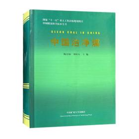 中国洁净煤 高级十一五重大工程出版规划图书 中国煤炭科学技术全书 9787564604097中国矿业大学出版社