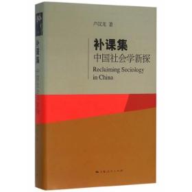 补课集：中国社会学新探 /卢汉龙