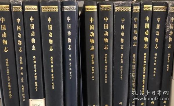中国 动物志 兽 纲(第八卷)