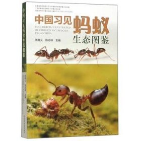 中国习见蚂蚁生态图鉴