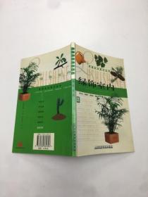 绿饰室内 家庭生活园艺丛书