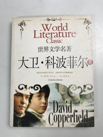 大卫 科波菲尔  下